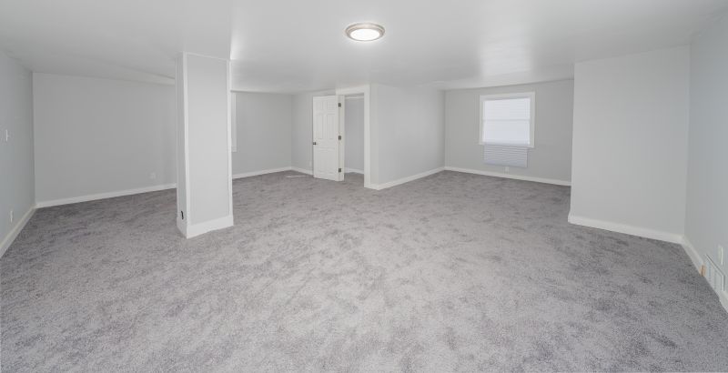 Basement with Carpet Flooring